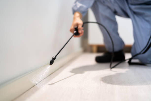 Licensed Pest Control service in Jefferson, MD - Show Me Pest Control