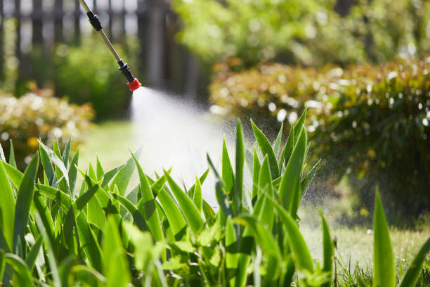 24/7 Emergency Ant Control experts in Jefferson, MD