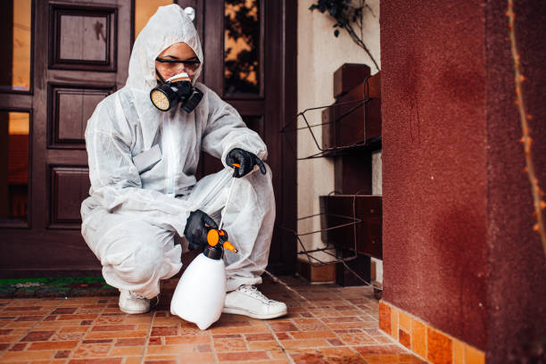 Reliable Ant Control contractor in Jefferson, MD by Show Me Pest Control